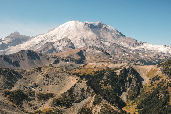 Mt. Rainer National Park