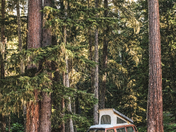 Mt. Rainer National Park