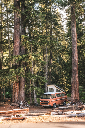 Mt. Rainer National Park