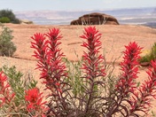 Canyonlands National Park