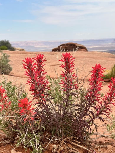 Canyonlands National Park