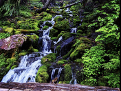 Mount Rainier National Park