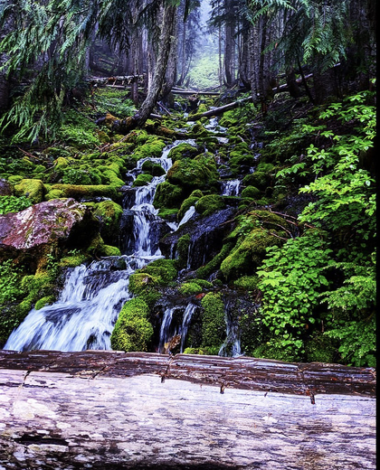 Mount Rainier National Park