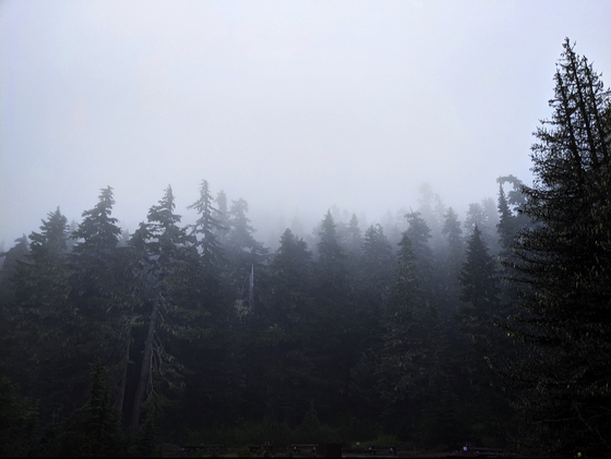 Mount Rainier National Park