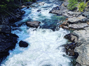 Wenatchee National Forest