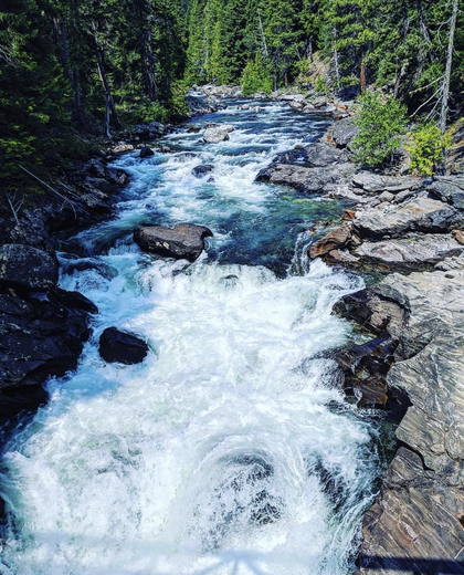 Wenatchee National Forest