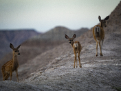 Badlands National Park