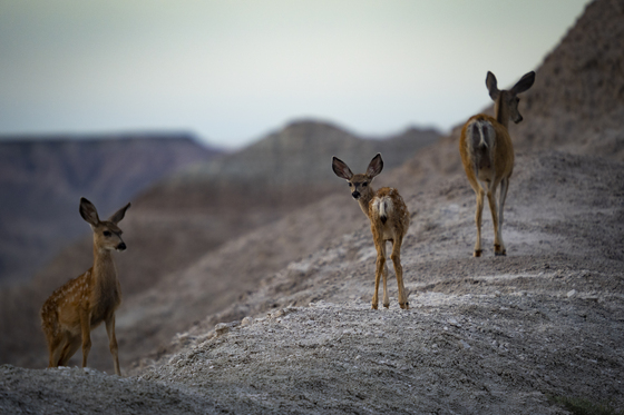 Badlands National Park