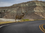 Badlands National Park
