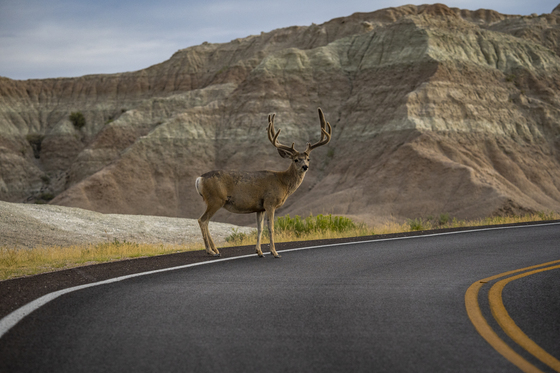 Badlands National Park