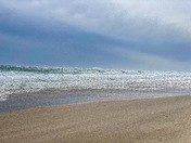 Cape cod National seashore