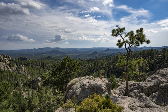 Black Hills National Park