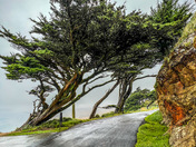 Point Reyes National Park