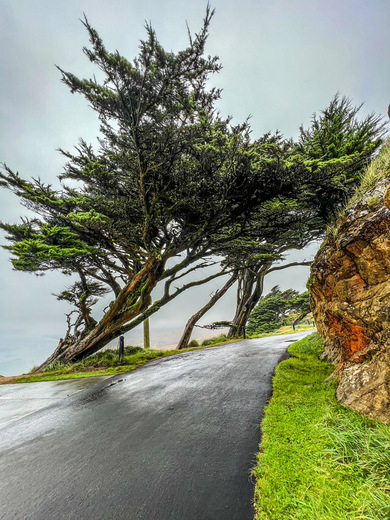 Point Reyes National Park