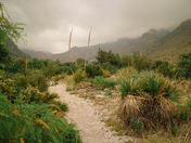 Guadalupe Mountains National Park