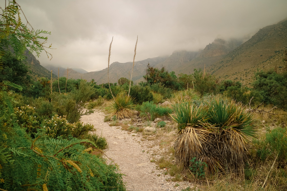 Guadalupe Mountains National Park