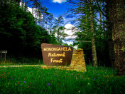 Mongaheala National Forest
