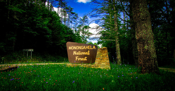Mongaheala National Forest