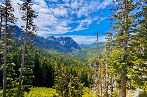 Mount Rainier National Park