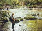 Great Smoky Mountains National Park