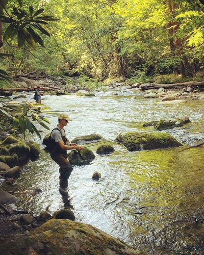 Great Smoky Mountains National Park