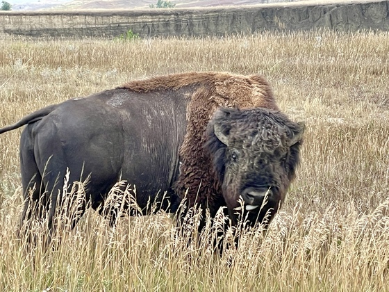 Badlands National Park