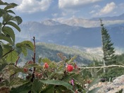 Rocky Mountain National Park