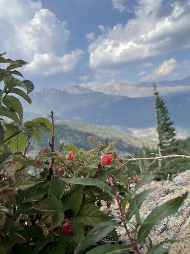 Rocky Mountain National Park