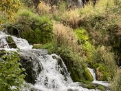 Black Hills National Forest