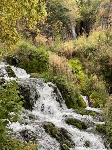 Black Hills National Forest