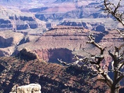Grand Canyon National Park