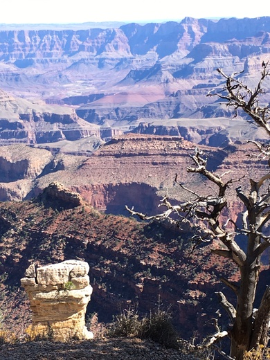 Grand Canyon National Park