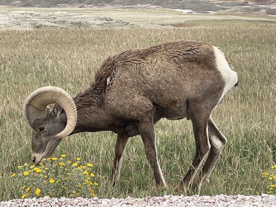 Badlands National Park 