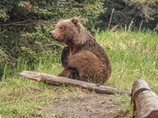Lake Clark National Park & Preserve