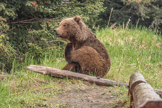 Lake Clark National Park & Preserve