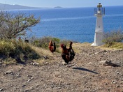 McGregor Point and Lighthouse