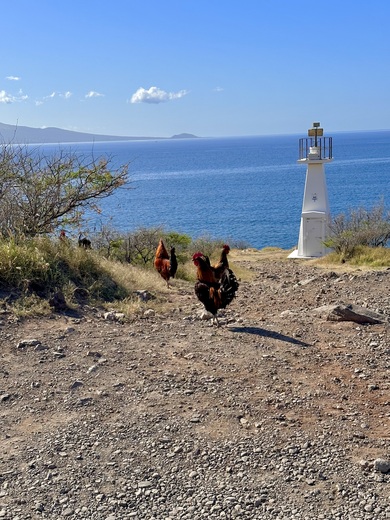 McGregor Point and Lighthouse