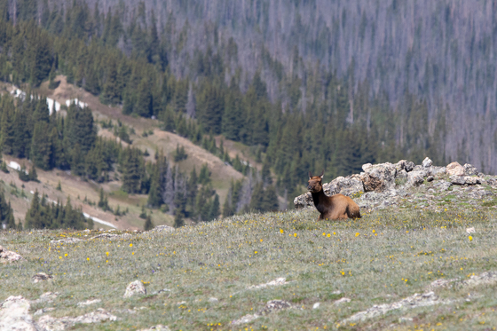 Rocky Mountain National Park