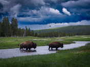 Yellowstone National Park