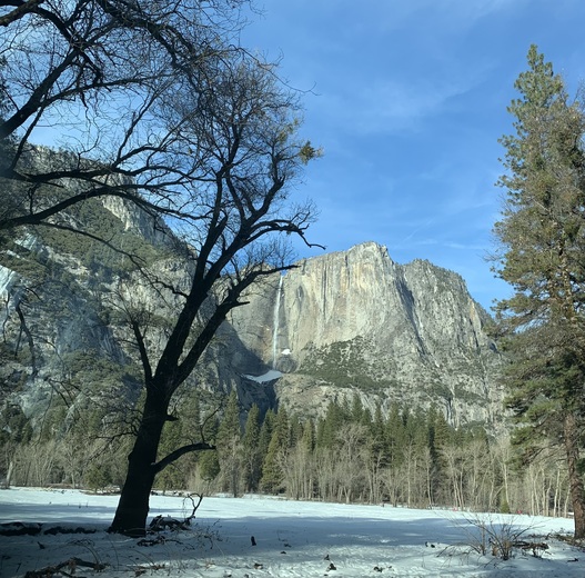 Yosemite National Park 