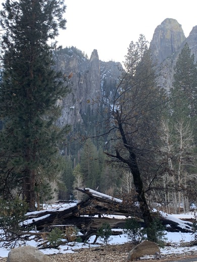 Yosemite National Park 