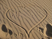 Great Sand Dunes National Park and Preserve
