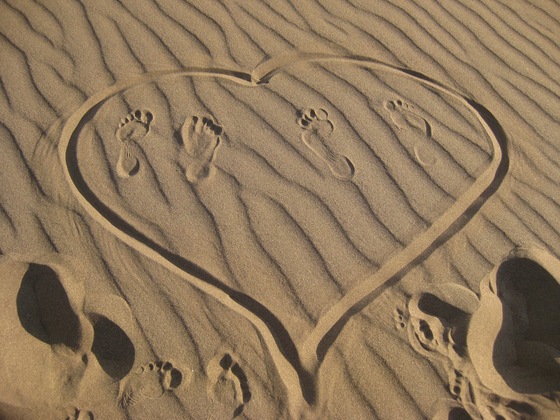 Great Sand Dunes National Park and Preserve