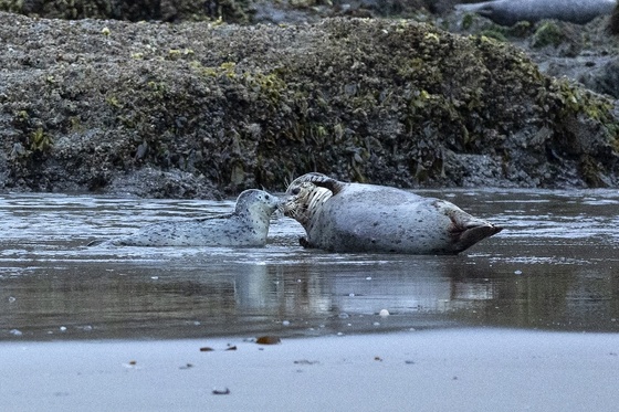 Coquille Point National Wildlife Refuge