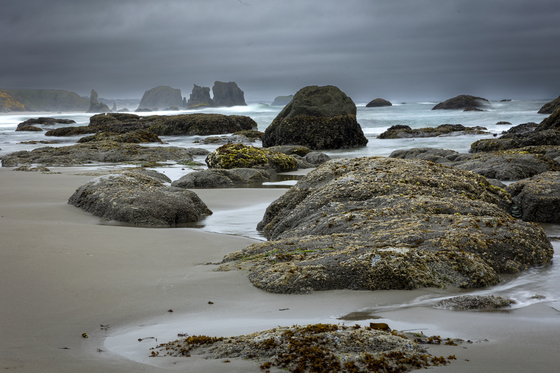 Coquille Point National Wildlife Refuge