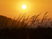 Coquille Point National Wildlife Refuge