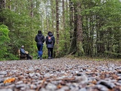 Sitka National Historical Park 
