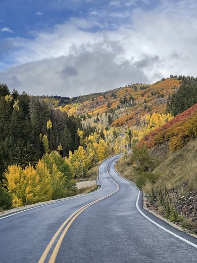 Uinta-Wasatch-Cache National Forest