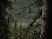 Rocky Mountain National Park