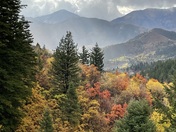 Uinta-Wasatch-Cache National Forest
